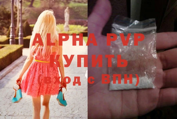 прущие грибы Балабаново